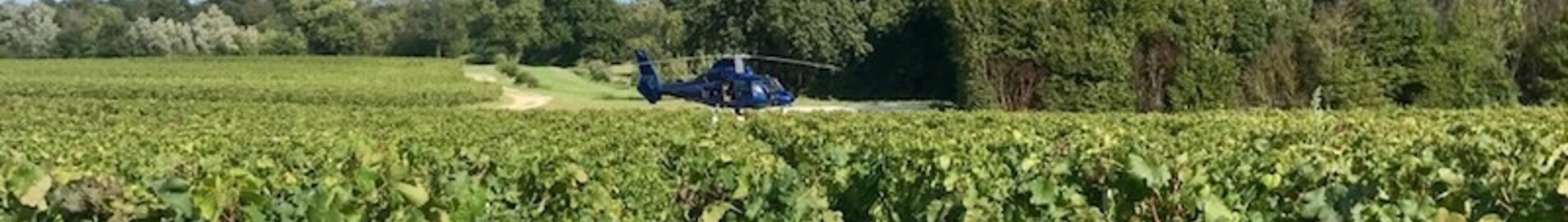 location de jet privé : Hélicoptère sur vignobles verdoyants et ciel partiellement nuageux.