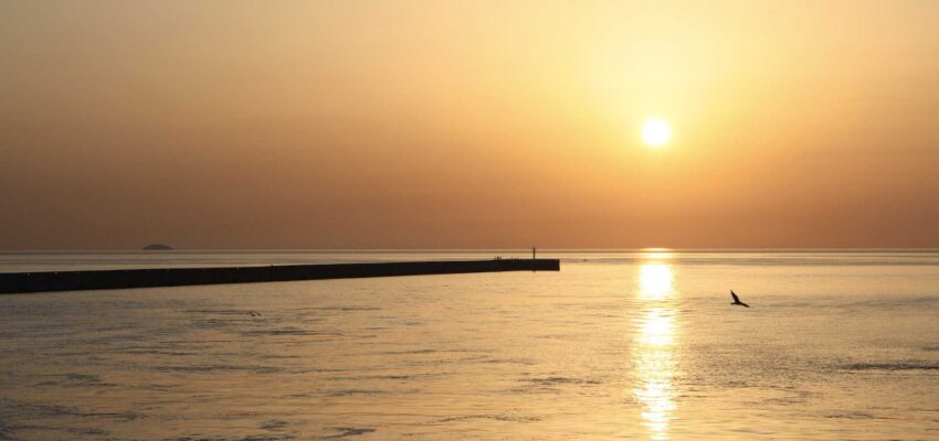 Coucher de soleil, longue jetée, oiseau à l'horizon.