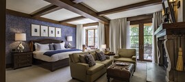 Chambre luxueuse avec cheminée et grande lumière naturelle.