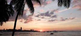 Coucher de soleil sur l'océan, silhouette de palmiers, bateaux.