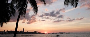 Coucher de soleil sur l'océan, silhouette de palmiers, bateaux.