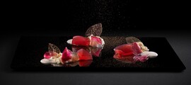 Location de jet privé - Dessert gastronomique élégant.