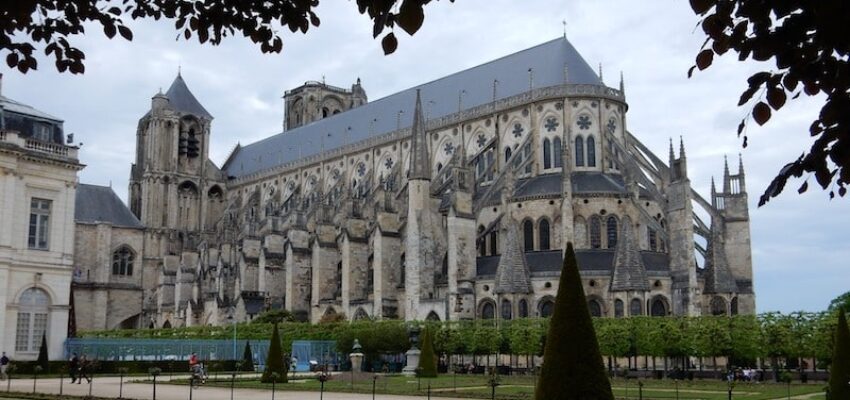 Cathédrale gothique de Bourges, arbre taillé du jardin.