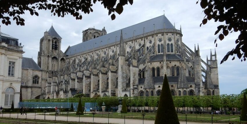 Cathédrale gothique de Bourges, arbre taillé du jardin.