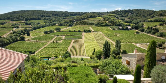champs à Aix en Provence