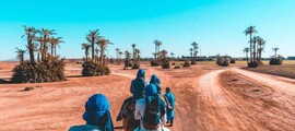 Marrakech et balade dans le désert