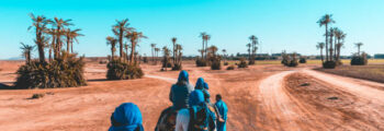 Marrakech et balade dans le désert