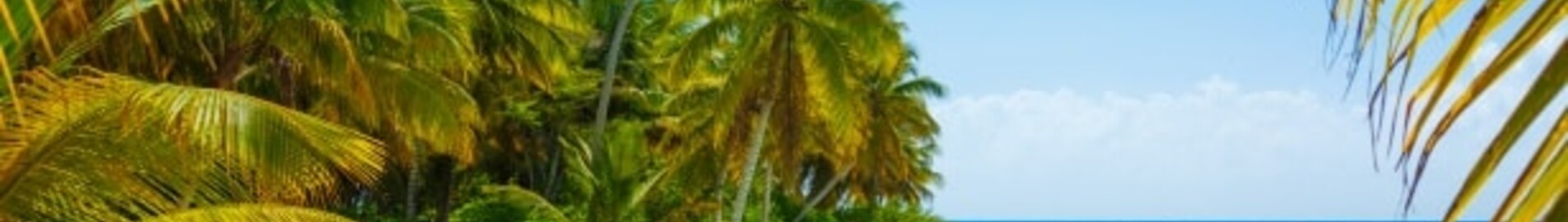 eau claire des Caraïbes