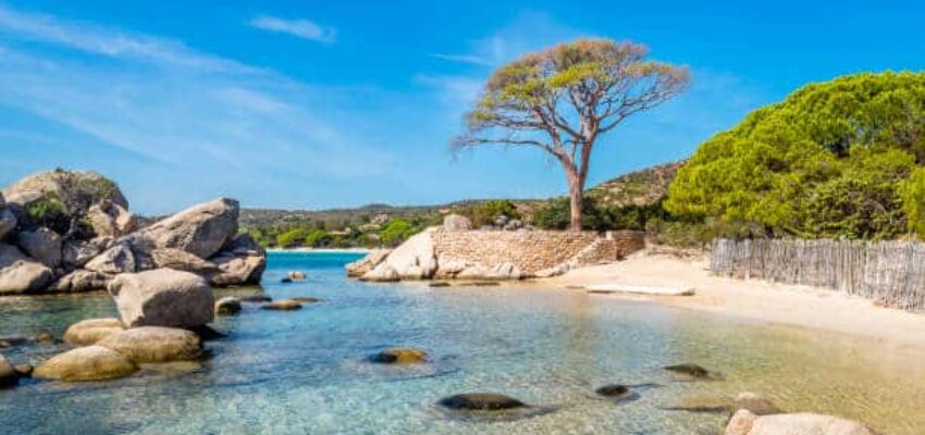plage d'eau turquoise avec des rochers et des arbres, Corse