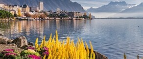 montagnes et ville de Genève