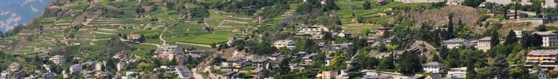 Sion ville