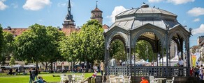 Personnes étendues dans un parc parisien ou stuttgartois.
