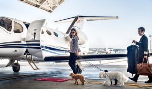 Avion privé léger : chien et jet privé mustang dans le hangar