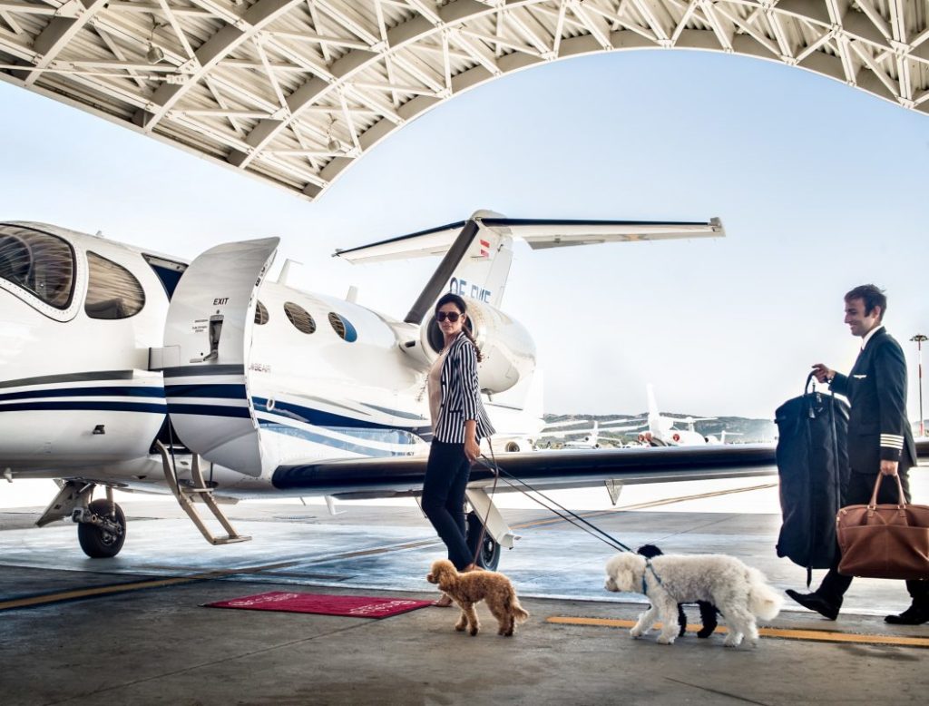 dog and private jet rental at take-off, on the runway