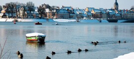 Ville sereine au bord de la rivière, canards nageant, maisons en arrière-plan.