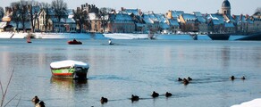 Ville sereine au bord de la rivière, canards nageant, maisons en arrière-plan.