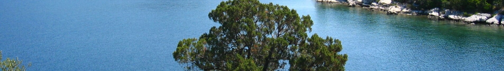 Mljet