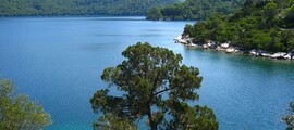 Mljet