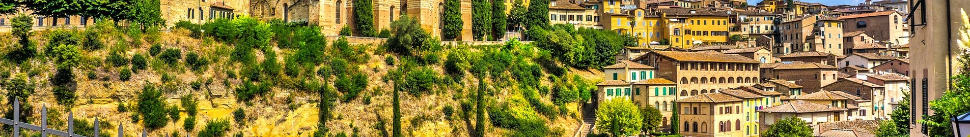 Sienne : Vue panoramique avec basilique historique sous ciel bleu