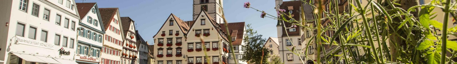 Biberach An Der Riss location de jet privé