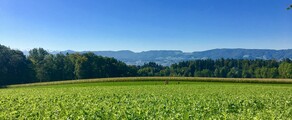 Location de jet privé Dubendorf - paysage luxuriant.