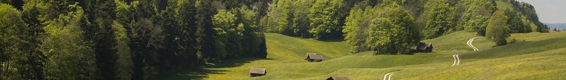 location jet privé - Collines verdoyantes avec cabanes en bois.