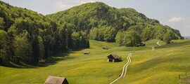 location jet privé - Collines verdoyantes avec cabanes en bois.
