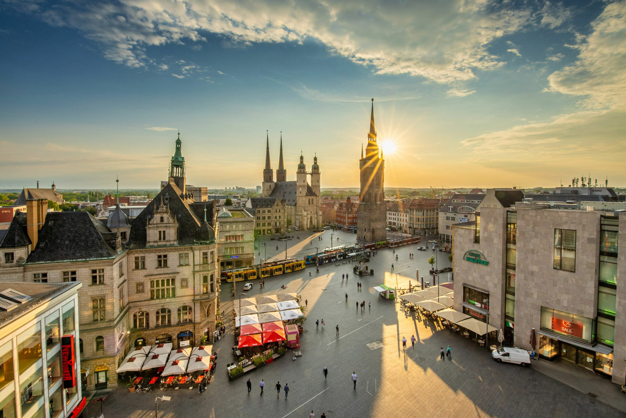Halle Oppin alquiler de jets privados AEROAFFAIRES