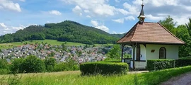 Lahr Black Forest : location de jet privé