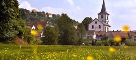 Reichelsheim : location de jet privé