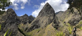 Réunion aventure montagne sentier plantes luxuriantes.