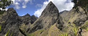 Réunion aventure montagne sentier plantes luxuriantes.
