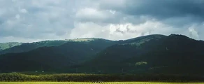 Gelendzhik : location de jet privé