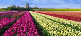 hoogeven: location de jet privé