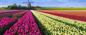hoogeven: location de jet privé