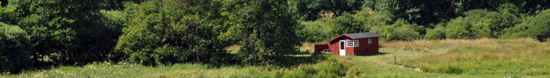 Karup : location de jet privé