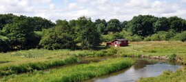 Karup : location de jet privé