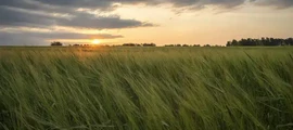 Kemerovo : location de jet privé