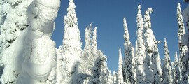 Kuusamo : location de jet privé