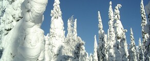 Kuusamo : location de jet privé
