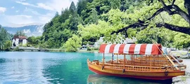 Lesce Bled : location de jet privé