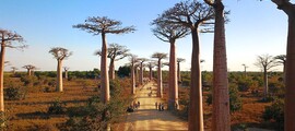 morondavas: location de jet privé
