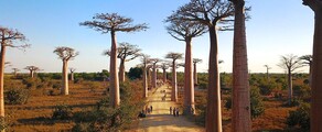 morondavas: location de jet privé