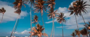 Punta Cana : location de jet privé