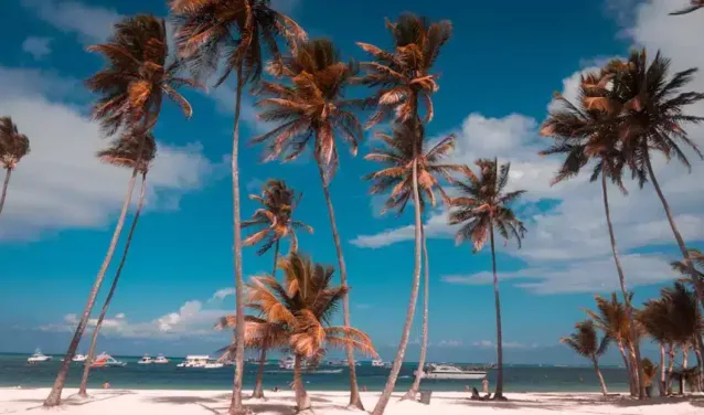 Punta Cana : location de jet privé
