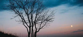 Saratov Tsentralny : location de jet privé