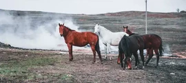Stavropol Shpakovskoye : location de jet privé