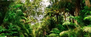 trinidad et tobago : Location de jet privé