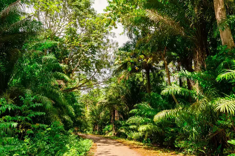 trinidad et tobago : Location de jet privé
