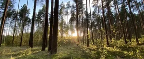 Tver Migalovo: location de jet privé